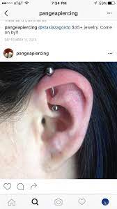 Pin By Dezaree Ward On Piercings Cute Ear Piercings Ear Piercings Chart Cute Piercings