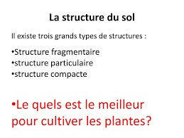 Les structures particulaires 2.2.1.1.la structure particulaire organique ce sont des fragments de mo libre disposés les uns à coté des autres sans aucun liens entre eux Ppt Les Sols Powerpoint Presentation Free Download Id 1978222