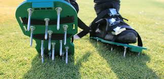We did not find results for: Why Aeration Is Crucial To Lawn Health Lawn Solutions Australia