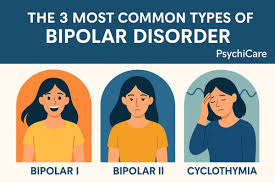 Image result for Bipolar Disorder