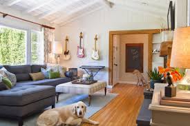 70+ living room ideas that will leave you wanting more. Tips For A Pet Friendly Home Hgtv