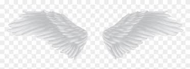 Download Transparent Background Angel Wings Png Hd Png Gif Base Polish your personal project or design with these angel wings transparent png images, make it even more personalized and more attractive. download transparent background angel