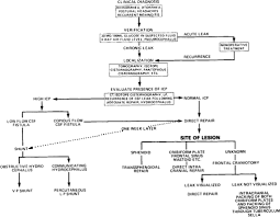 Management Of Recurrent Csf Rhinorrhea Of The Middle And