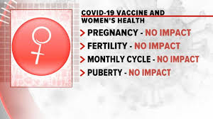 The way this vaccine works, there's no reason to suspect that it gets into breast milk. Covid 19 Vaccines Safe And Effective For Pregnant People Nih Director Says Abc News