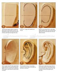 2041 Carving Ear Legno Tecniche Di Intaglio Intaglio Su Legno Wood Carving Designs Dremel Wood Carving Wood Carving Patterns