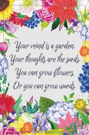No one aspires, because there is no pinnacle. Your Mind Is A Garden Your Thoughts Are The Seeds