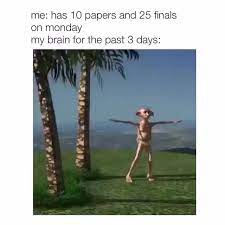 Me Has 10 Papers And 25 Finals On Monday My Brain For The Past 3 Days