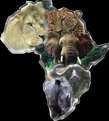The Big 5 Africa Art Africa Tattoos Africa