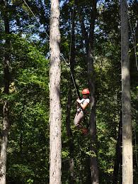 Counselor PreParation