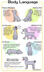 Dog Body Language Chart Dogs Pinterest Dog Body Language Dog Care Dog Language