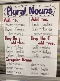 Plural Nouns Anchor Chart Education Stuff Noun Anchor