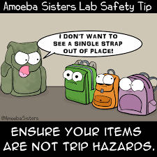 Handwashing practices to keep workers safe. The Amoeba Sisters Posts Tagged Stem In 2021 Lab Safety Lab Safety Poster Lab Safety Rules