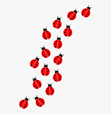 Free Free 191 Transparent Background Ladybug Svg Free SVG PNG EPS DXF File