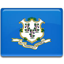 Image result for Nevada flag icon