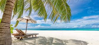 Tranquil Beach Scenes