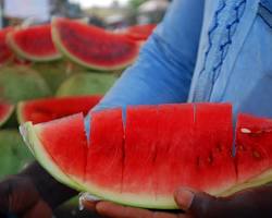 Image of Watermelon nigeria