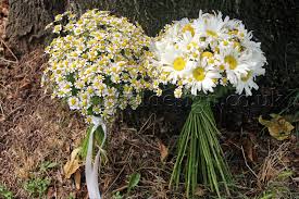While choosing bouquets should adhere to. Summer Wedding Bouquets Archives Wedding Flowers Blog