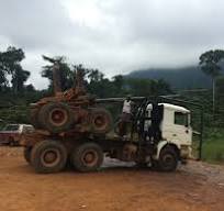 Factory price Mercedes log trailer truck for sale in china ...