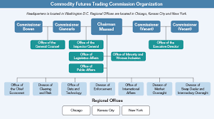 Cftc Summary Of Performance And Financial Information Fy 2015
