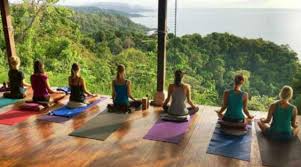 Two ways to book now. Best Yoga Hotels And Resorts Of 2021 Costa Rica Yoga Yoga Retreat Yoga Resorts