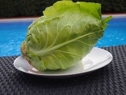 Amount of calories in cabbage: Calories In Cabbage Cabbage Nutrition