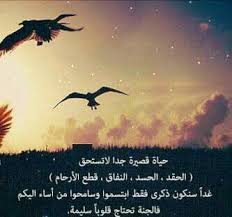 الجنه تحتاج قلوب سليمه photo quotes arabic quotes words
