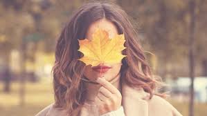 .maple digambar tangan daun maple sumber grafis di sini yang terdiri dari clipart daun maple, kartun daun maple, cantik menyediakan gambar png dengan latar belakang transparan dan file psd. Alasan Musim Gugur Jadi Momen Tepat Untuk Liburan