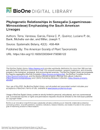 Image result for Acacia adenocalyx