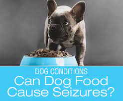 Can Dog Food Cause Seizures Can Dog Foods Cause Canine Seizures