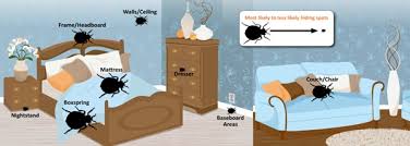 Pepijat dan kumpulan yang seumpamanya daripada keluarga cimicidae dalam kumpulan memiptera merupakan serangga atau makhluk pengacau universal terhadap manusia, kelawar, burung dan lainlain binatang mamalia. Bed Bugs Berpunca Dari Barang Terpakai Pest Control Selangor Dari Rm130 Servis Anai Anai Kutu Lipas Nyamuk