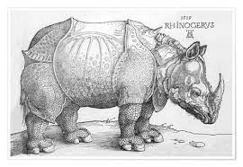 Durerin sarvikuono, dürerin sarvikuono (fi). Albrecht Durer Das Nashorn Poster Online Bestellen Posterlounge De