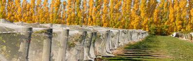 Our Story | Three Miners Vineyard Central Otago