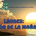 Laudes Oracion De La Manana Del Lunes 30 De Noviembre De 2020 En Oracion De La Manana Y Laudes En Mp3 30 11 A Las 04 38 27 14 10 61098621 Ivoox Le livre référence sur les cycles lunaires, pour vivre en harmonie avec la lune tout au long de l'année : laudes oracion de la manana del lunes