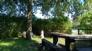 Wenn sie erfahrungen mit diesem unternehmen gesammelt haben, teilen sie diese hier mit anderen seitenbesuchern. Www Brandenburger Land Natur Portal Fur Land Brandenburg Die Einsame Eiche Im Rhinluch