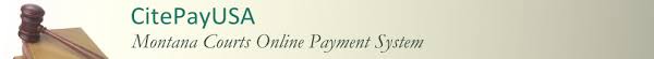 If you are attempting to pay a parking ticket that has not been filed with the clerk of court, you cannot pay the fine using this site. Citepayusa Welcome To Citepayusa