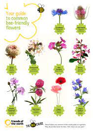 Insect charity buglife has launched a new plan to help pollinating insects by creating a bee motorway across the uk. Pin By Friends Of The Earth On The Bee Cause Bee Friendly Flowers Bee Friendly Garden Bee Friendly Plants