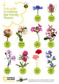 Best flowers for bees uk. Pin By Friends Of The Earth On The Bee Cause Bee Friendly Flowers Bee Friendly Garden Bee Friendly Plants