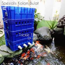 Untuk membikin kolam ikan koi dengan dasar terpal atau lapisan plastik bisa anda lihat pada video berikut ini. Trickle Filter Kolam Ikan Koi 4 Susun Small8 Shopee Indonesia