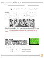 Maybe you would like to learn more about one of these? Evolutionnaturalartificialse Docx Name Date Student Exploration Evolution Natural And Artificial Selection Vocabulary Artificial Selection Breed Course Hero