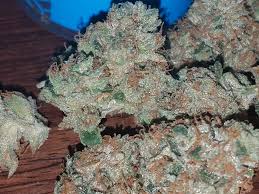 Kandy Kush Og By Revolution Cannabis Illinois Medical Cannabis