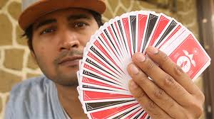 Wings V2 Marked Playing Cards