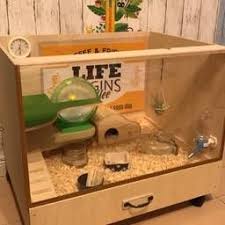 オリジナルハムスターケージno 2 diyer s リノベと暮らしとdiy ハムスター ハムスターの家 ペットの部屋