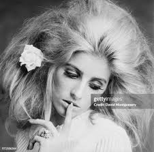 6,672 Woman Photographer In Studio Stock Photos, High-Res Pictures, and  Images