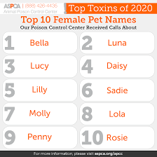 There are countless female dog names out there which can make it difficult to choose the right one. The Top 10 Male And Female Pet Names Of 2020 Aspca