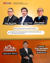 Fredy Abel Mamani Calixto