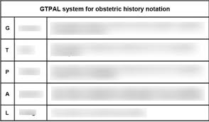 Image result for Gravidity