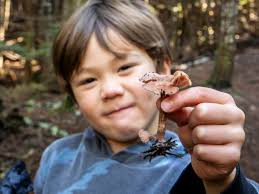 Mushroom walk with expert local knowledge