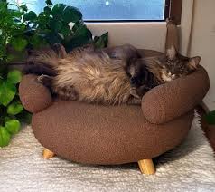 Was anyone able to get the oblong wooden candle? I've only been able to  find the acorn wooden candle