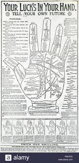 Vintage Palmistry Diagram Stock Photo 210692537 Alamy