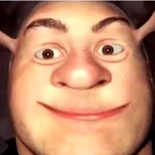 The tenth season of the american fictional drama television series er first aired on september 25, 2003 and concluded on may 13, 2004. Human Shrek Luke P
